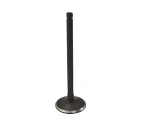 Βαλβίδα Εισαγωγής OEM-A PCX125'10-17