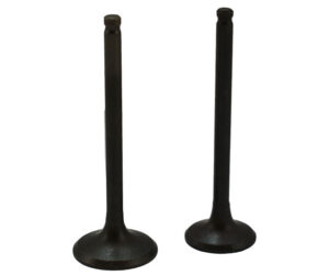 Βαλβίδες Σετ Εισ/Εξ CRYPTONR-115 '04 NEW,CRYPTONT110C'10-17