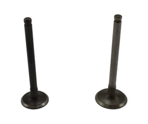 Βαλβίδες Σετ Εισ/εξ ATV110