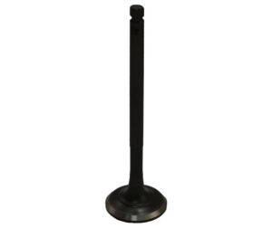 Βαλβίδα Εξαγωγής OEM-A SH125'10