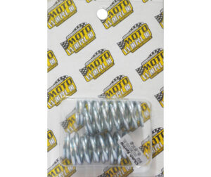 Ελατήρια Συμπλέκτη Ζ125