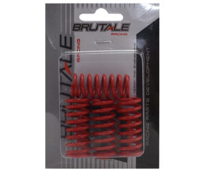 Ελατήρια Συμπλέκτη RACING CRYPTONX-135