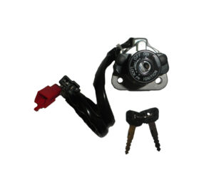 Διακόπτης Γενικός 2 Φις 4+2 Καλ Κοκκ.φις XT600NEW/TDM850(παλιό Μοντ)