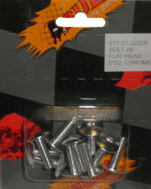 Βίδες Χρώμιο 6Χ20 Πλατ.Κεφ.10τμχ/Σετ