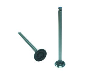 Βαλβίδα Εξαγωγής TKRJ CRYPTONX-135 (4VLV)