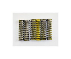 Ελατήρια Συμπλέκτη (Σετ/6τμχ) T-MAX500'01-07