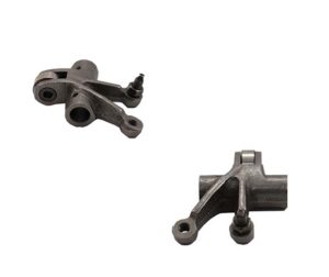 Κοκοράκι Εξαγωγής VF185