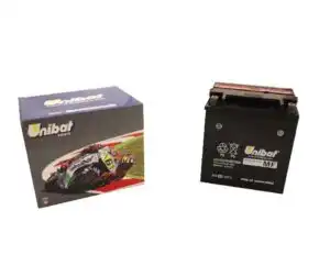 Μπαταρία UNIBAT BTCIX30LBSU (YIX30L-BS) -+ (385CCA) ATV/CF450/550,GOES450/550,LINHAI450/550