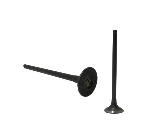 Βαλβίδα Εξαγωγής OEM CITYBLADE125/150,CITYBLADE125I E4