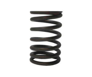 Ελατήριο Βαλβίδων OEM Εξωτ. TARGET125'15-17,TARGET125I'18-20 E4