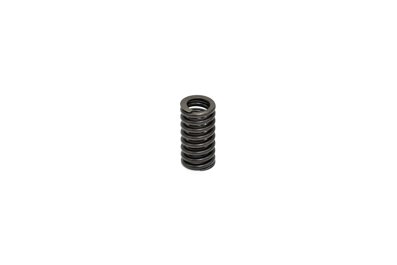 Ελατήριο Βαλβίδων Εξαγ.OEM BENELLI/BN302 ABS,TRK502