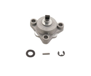 Αντλία Λαδιού OEM BENELLI/RCX185I