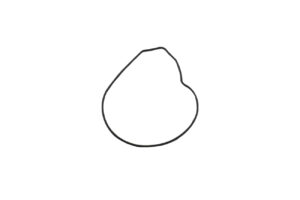 Τσιμούχα Αντλίας Νερού Μεγάλη / O-RING OEM BENELLI/TRK702,702X