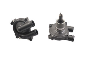 Αντλία Νερού Κομπλέ Γκρι OEM BENELLI/752S E4'19