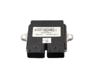 Εγκέφαλος (ECU) OEM VIESTE300 E5