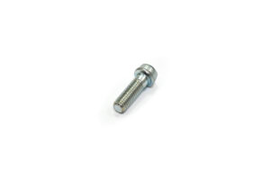 Βίδα OEM για Καβαλέτο/SCREW TCEI M8X25 ZB BENELLI/BN302