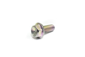 Βίδα OEM  M2X20  Ασημί BENELLI ALL
