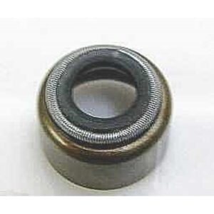 ΤΣΙΜΟΥΧΕΣ ΒΑΛΒΙΔΩΝ XT600 JAP