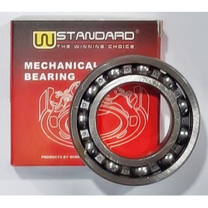 ΡΟΥΛΕΜΑΝ 6007 C3 (35x62x14) SPIKE W-STD