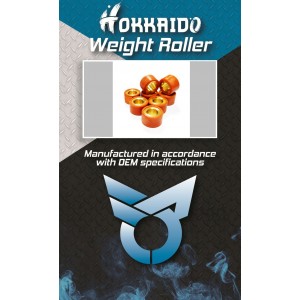 ΜΠΙΛΙΕΣ ΦΥΓΟΚΕΝΤΡΙΚΟΥ 25x15 17gr T-MAX HOKKAIDO
